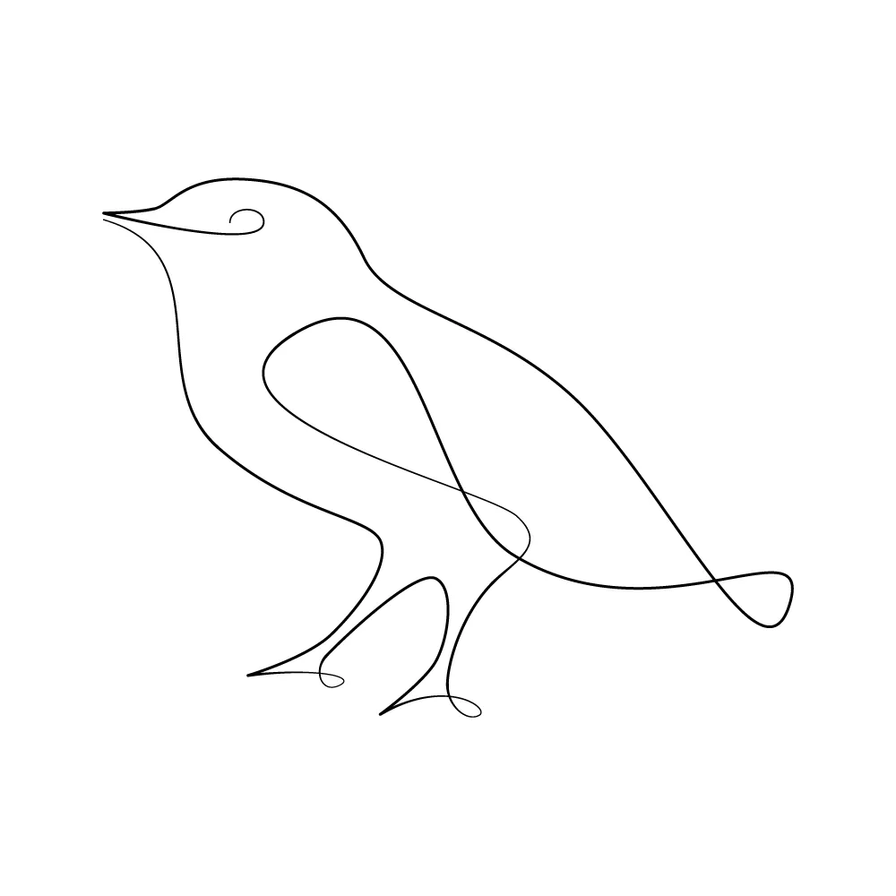 A bird as a continuous line art