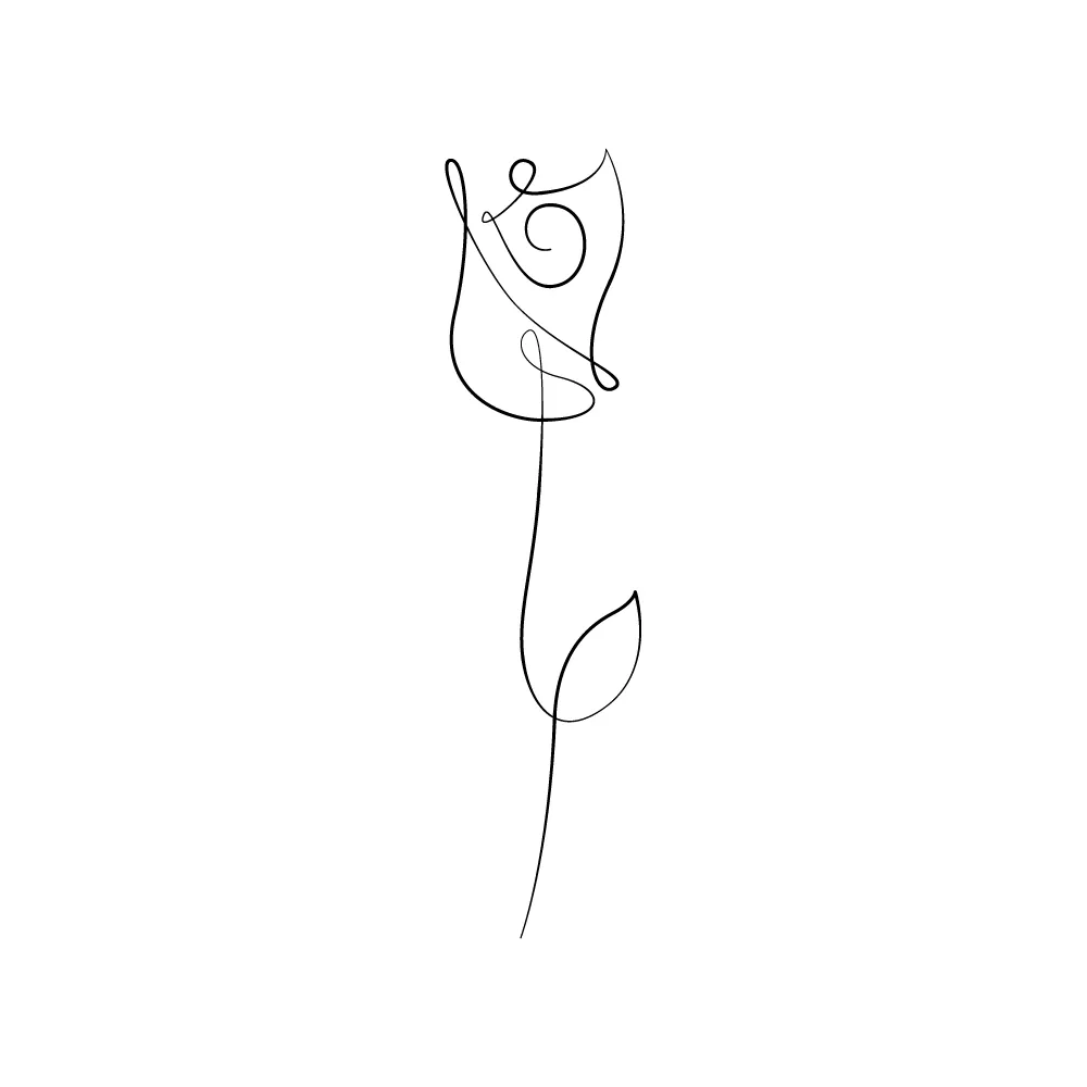 A rose as a continuous line art