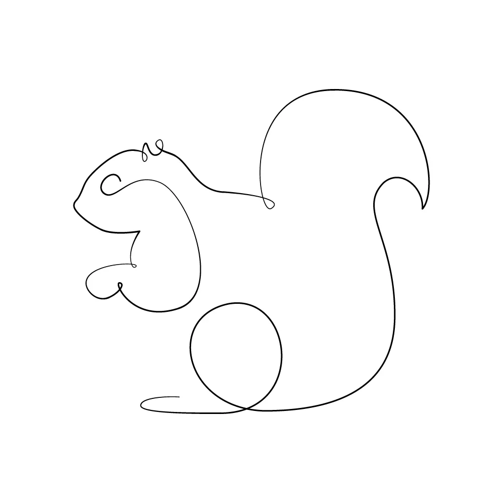 A squirrel as a continuous line art