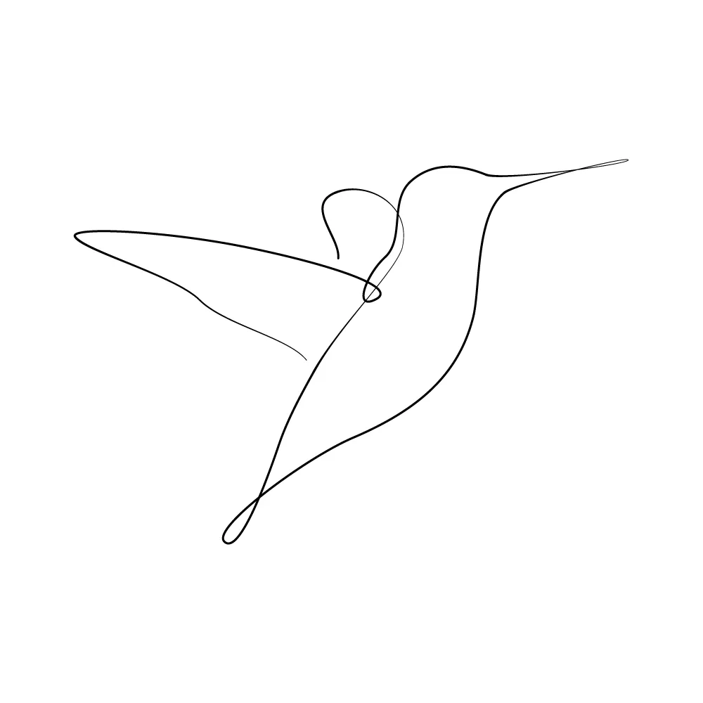 A hummingbird as a continuous line art